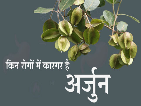 Jiyofit-arjun-medicine